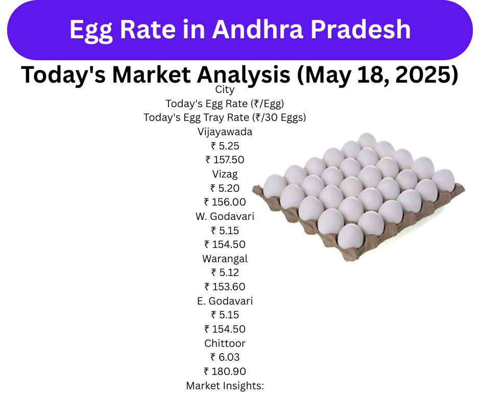 Egg Rate in Andhra Pradesh