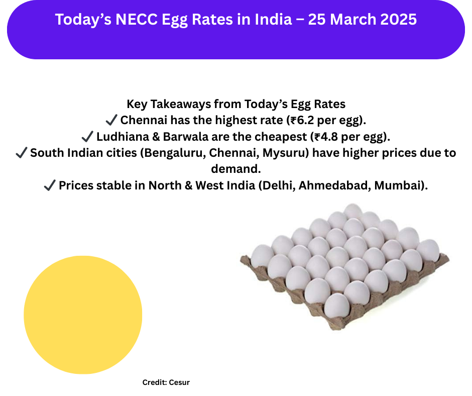 Today’s NECC Egg Rates in India – 25 March 2025